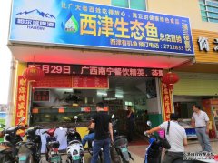 ⏱ 南宁理想i8高效看车｜地址电话营业时间！